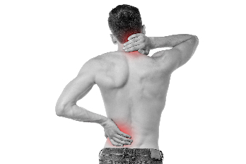 Pain in the joints and muscles